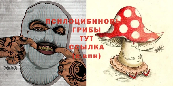 гашиш Бородино