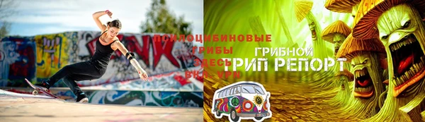 амф Богородицк