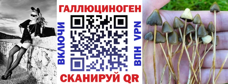 Псилоцибиновые грибы MAGIC MUSHROOMS Белая Калитва