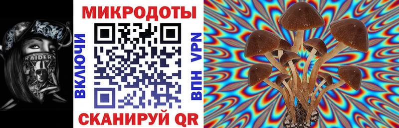 Галлюциногенные грибы Psilocybe закладки это наркотические препараты Белая Калитва